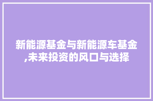 新能源基金与新能源车基金,未来投资的风口与选择