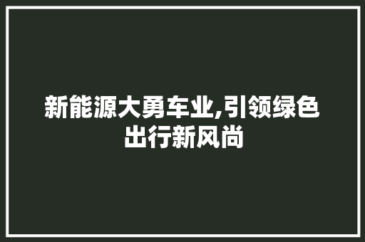 新能源大勇车业,引领绿色出行新风尚 新能源汽车