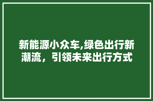 新能源小众车,绿色出行新潮流，引领未来出行方式
