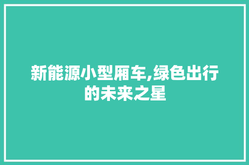 新能源小型厢车,绿色出行的未来之星