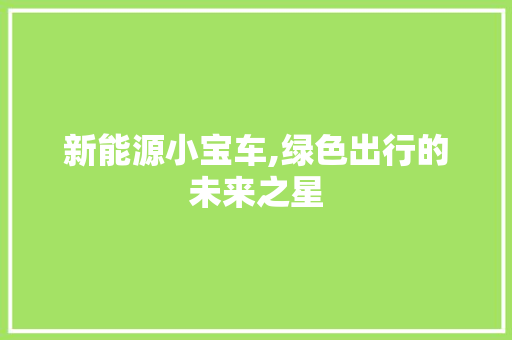 新能源小宝车,绿色出行的未来之星