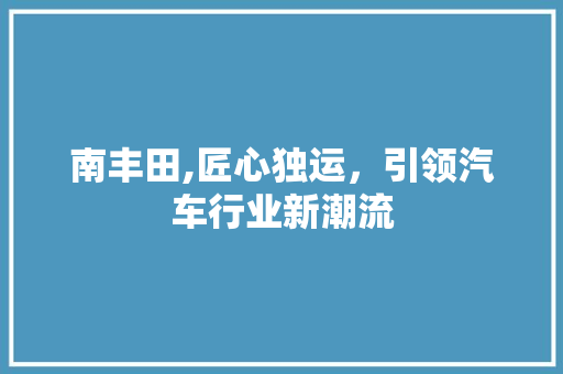 南丰田,匠心独运，引领汽车行业新潮流
