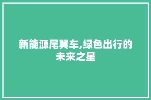 新能源尾翼车,绿色出行的未来之星