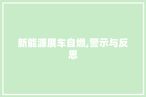 新能源展车自燃,警示与反思
