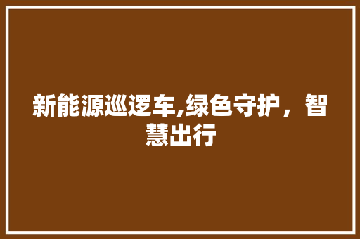 新能源巡逻车,绿色守护，智慧出行