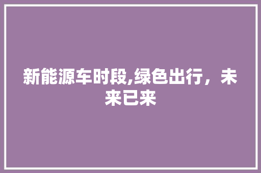 新能源车时段,绿色出行，未来已来