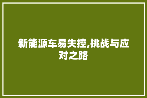新能源车易失控,挑战与应对之路