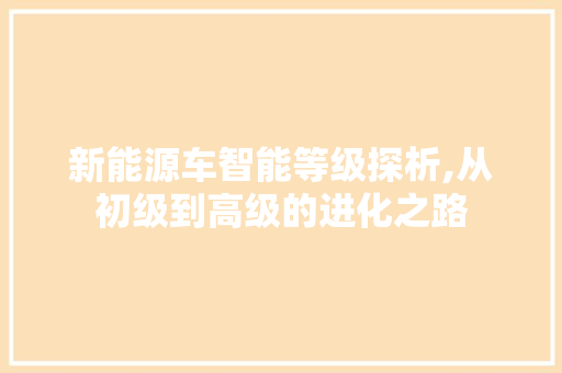 新能源车智能等级探析,从初级到高级的进化之路