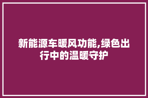 新能源车暖风功能,绿色出行中的温暖守护