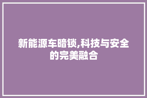 新能源车暗锁,科技与安全的完美融合