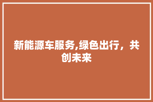 新能源车服务,绿色出行，共创未来