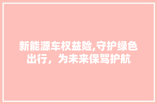 新能源车权益险,守护绿色出行，为未来保驾护航