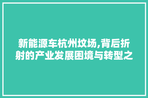 新能源车杭州坟场,背后折射的产业发展困境与转型之路