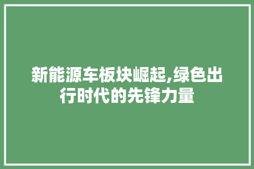 新能源车板块崛起,绿色出行时代的先锋力量