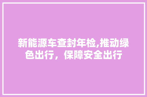 新能源车查封年检,推动绿色出行，保障安全出行