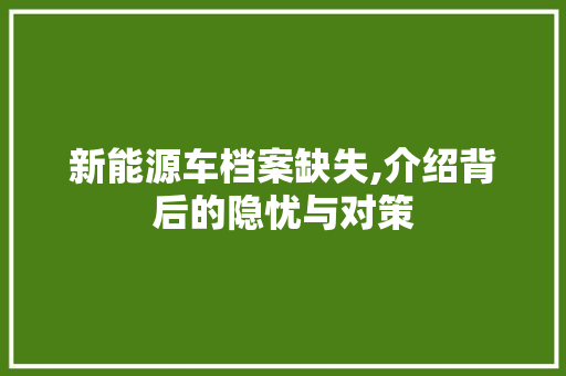新能源车档案缺失,介绍背后的隐忧与对策