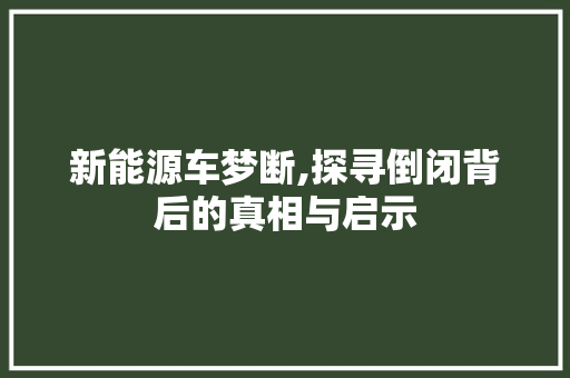 新能源车梦断,探寻倒闭背后的真相与启示