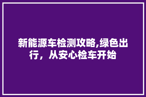 新能源车检测攻略,绿色出行，从安心检车开始