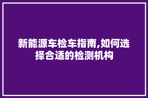 新能源车检车指南,如何选择合适的检测机构