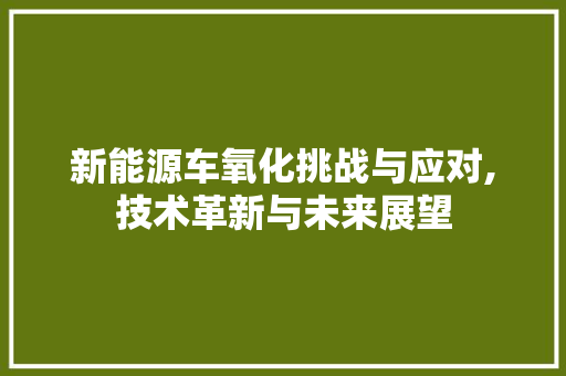 新能源车氧化挑战与应对,技术革新与未来展望