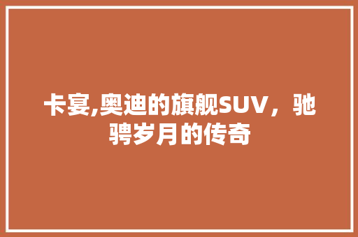 卡宴,奥迪的旗舰SUV，驰骋岁月的传奇 蓄电池配件