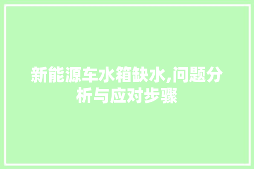 新能源车水箱缺水,问题分析与应对步骤