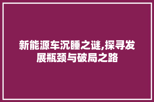 新能源车沉睡之谜,探寻发展瓶颈与破局之路