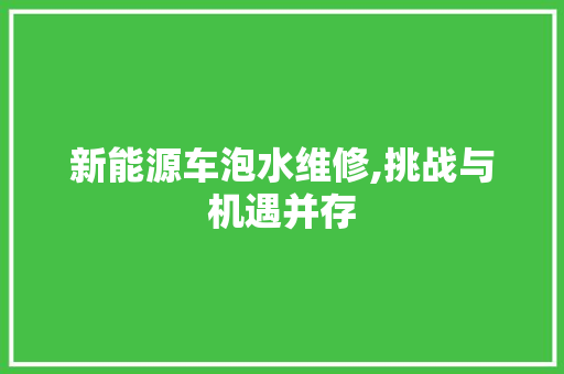 新能源车泡水维修,挑战与机遇并存
