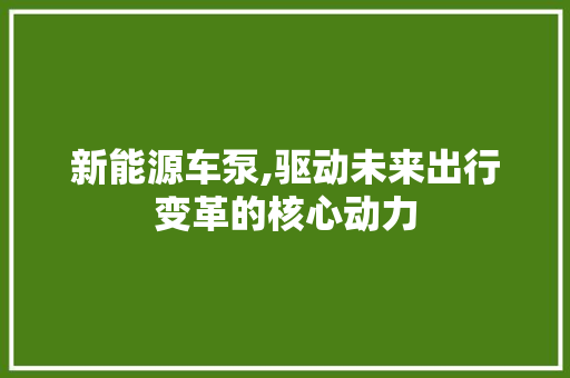 新能源车泵,驱动未来出行变革的核心动力