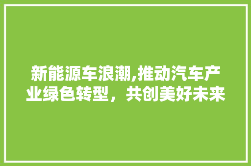 新能源车浪潮,推动汽车产业绿色转型，共创美好未来