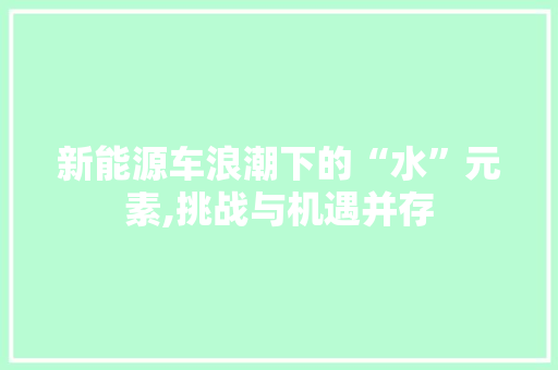 新能源车浪潮下的“水”元素,挑战与机遇并存