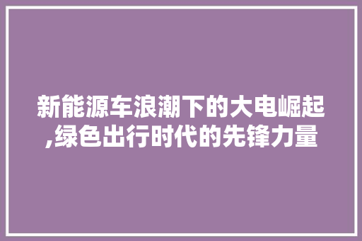 新能源车浪潮下的大电崛起,绿色出行时代的先锋力量