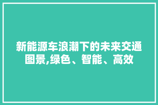 新能源车浪潮下的未来交通图景,绿色、智能、高效