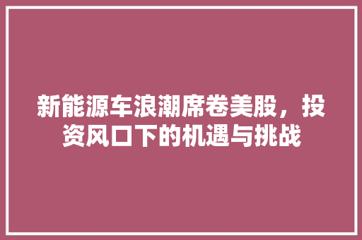 新能源车浪潮席卷美股，投资风口下的机遇与挑战
