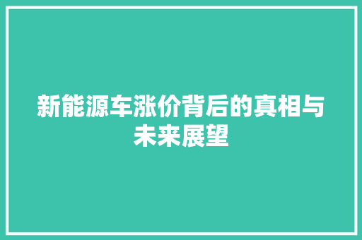 新能源车涨价背后的真相与未来展望