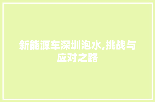 新能源车深圳泡水,挑战与应对之路