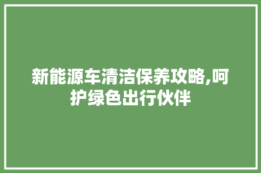 新能源车清洁保养攻略,呵护绿色出行伙伴