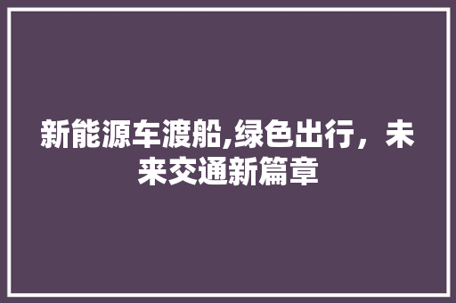 新能源车渡船,绿色出行，未来交通新篇章