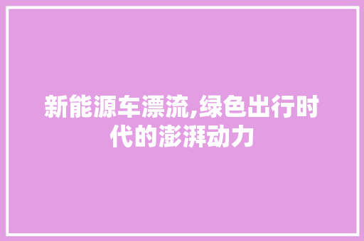 新能源车漂流,绿色出行时代的澎湃动力