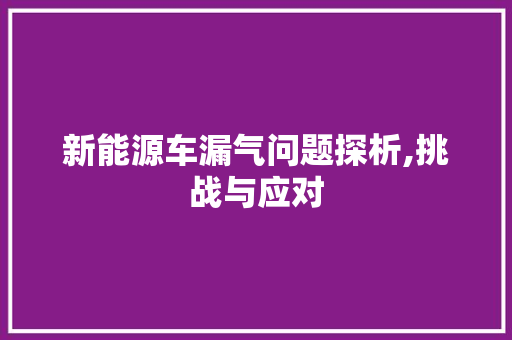 新能源车漏气问题探析,挑战与应对