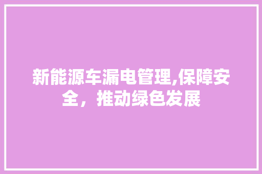 新能源车漏电管理,保障安全，推动绿色发展
