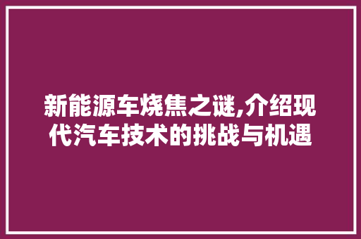 新能源车烧焦之谜,介绍现代汽车技术的挑战与机遇