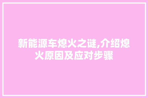 新能源车熄火之谜,介绍熄火原因及应对步骤