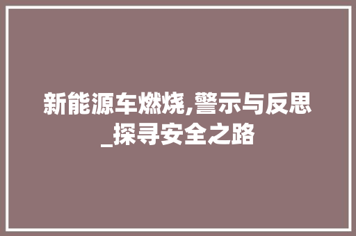 新能源车燃烧,警示与反思_探寻安全之路