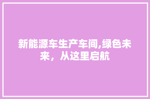 新能源车生产车间,绿色未来，从这里启航