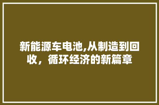新能源车电池,从制造到回收，循环经济的新篇章