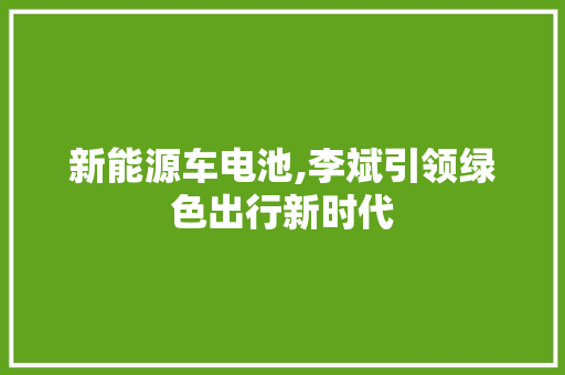 新能源车电池,李斌引领绿色出行新时代