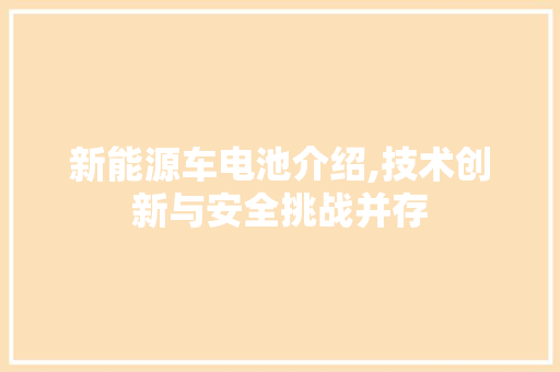 新能源车电池介绍,技术创新与安全挑战并存