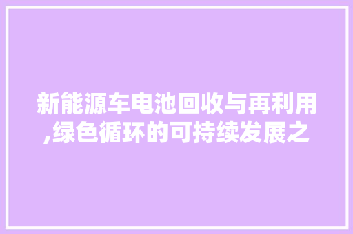 新能源车电池回收与再利用,绿色循环的可持续发展之路