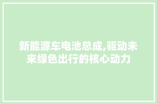 新能源车电池总成,驱动未来绿色出行的核心动力